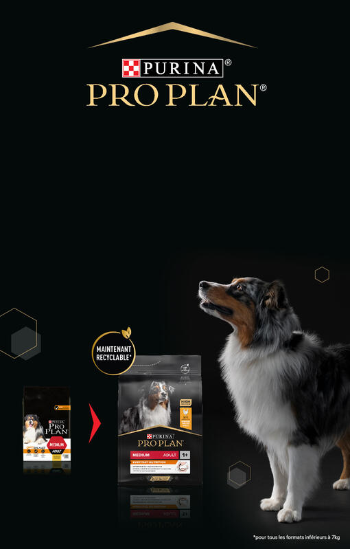 Pro Plan chien