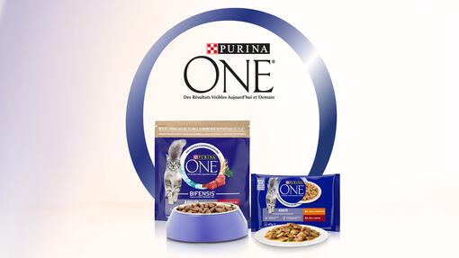 PURINA ONE® L’ALIMENTATION MIXTE