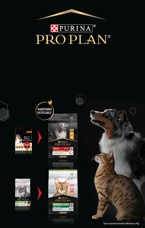 pro plan