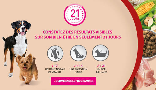 Purina ONE 3 Week Challenge