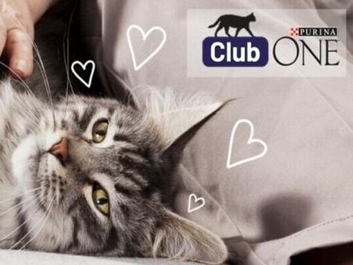 Purina ONE Club