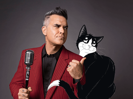 Chat Felix avec Robbie