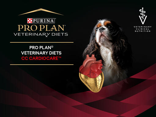 Pro Plan Veterinary Diets Cardiocare