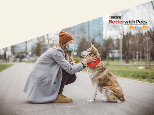 Prix Purina BetterwithPets