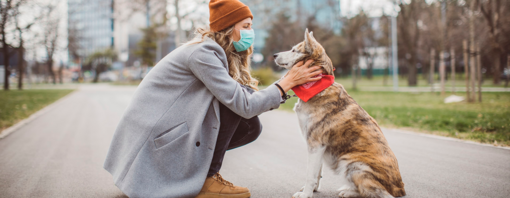 PURINA lance une nouvelle édition du Prix BetterwithPets