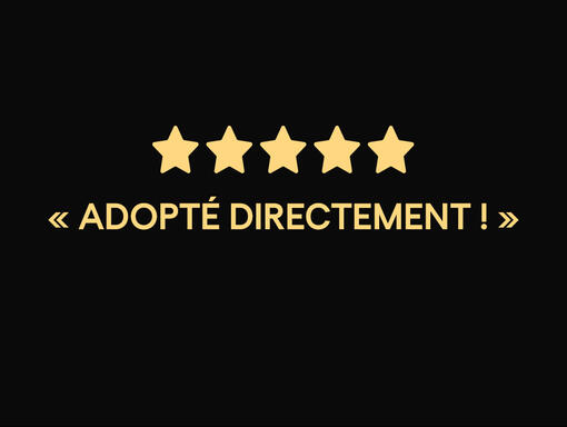 ADOPTÉ DIRECTEMENT ! 