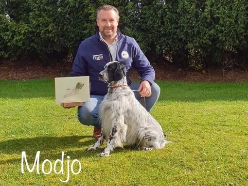 Modjo de la Plume du Pévèle, Setter Anglais conduit par Yann Blanchet