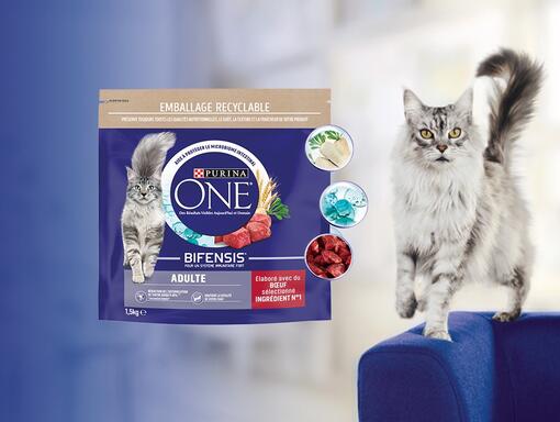 Purina One Bifensis