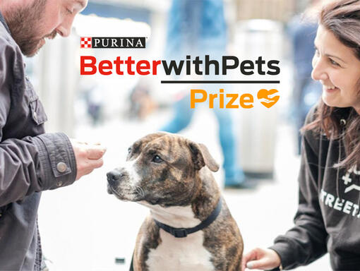 Les gagnants du prix Purina Better With Pets