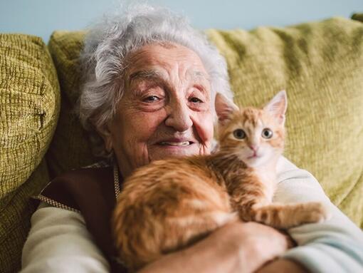 Vieille dame avec son chat