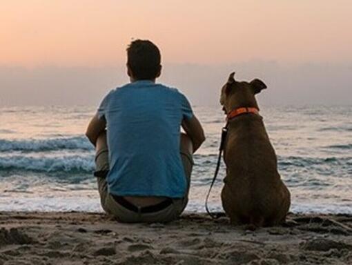 Homme avec son chien assit sur la plage