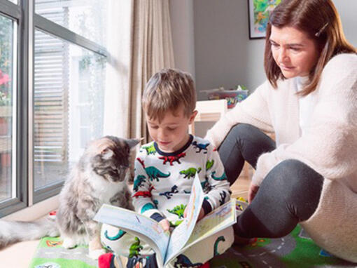 La mère et l'enfant qui joue avec le chat