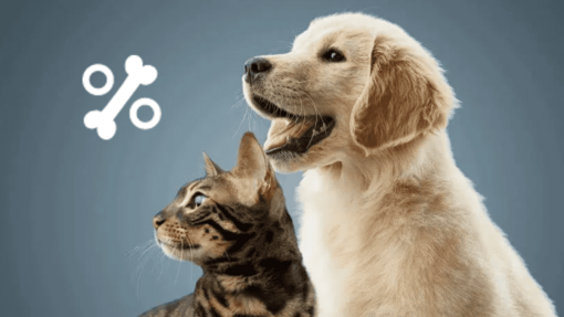 Nos bons plans pour chat et chien