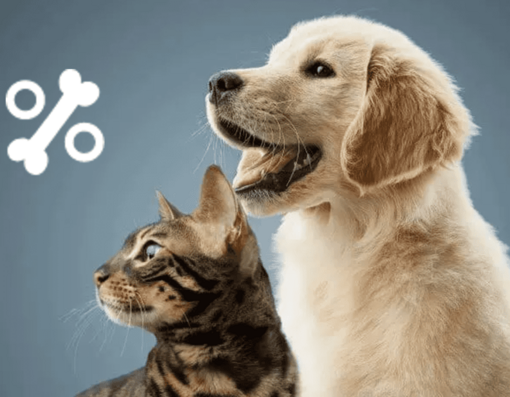 Nos bons plans pour chat et chien