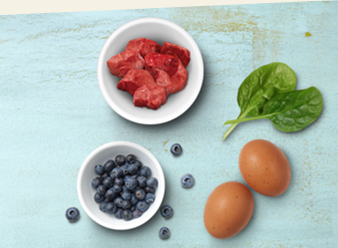  Chaque ingredient a un role