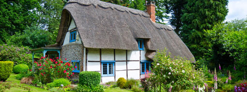 maison dans la nature