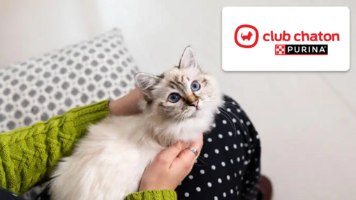 Club chaton de PURINA