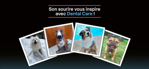 PURINA PRO PLAN DENTAL CARE