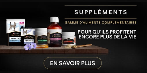 Suppléments