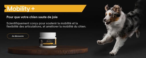 proplan-mobility