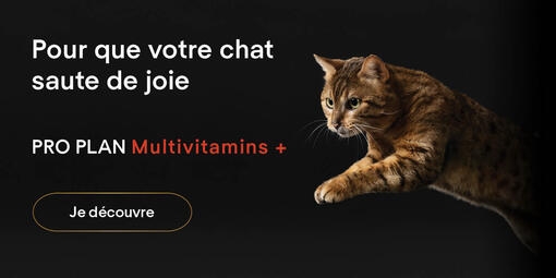 Pour que votre chat saute de joie Pro Plan Multiviatmins +