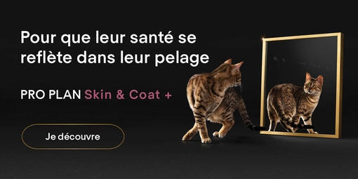 Pour que leur santé se reflète dans leur pelage - Pro Plan Skin & Coat +