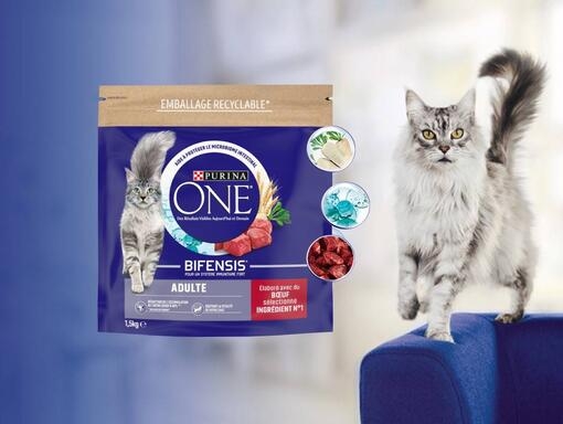 Purina One Bifensis