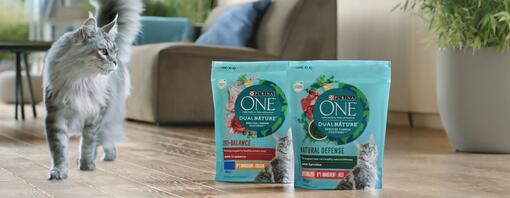 Purina annonce le lancement de sa première gamme réduite en carbone en Europe