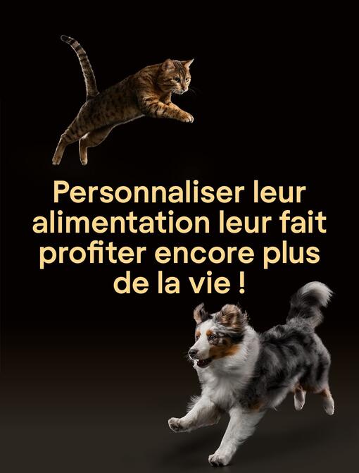 Personnaliser leur alimentation