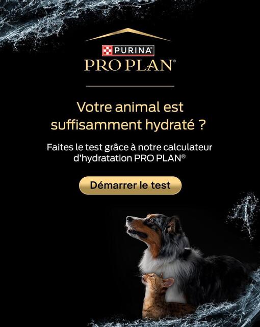 Pro Plan HydraCare