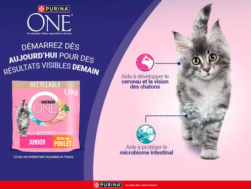 Purina One Microbiome