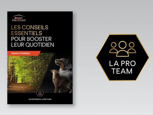 Téléchargez le guide de la Pro Team