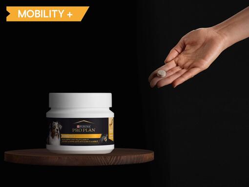 Découvrez MOBILITY + 