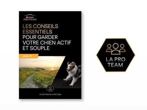 Découvrez MOBILITY +