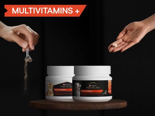Pro Plan MULTIVITAMINS