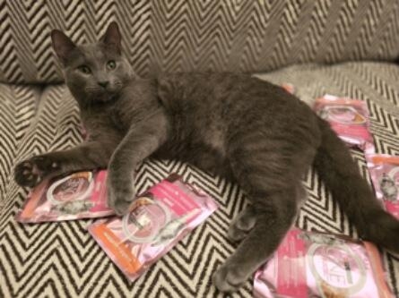 Purina One