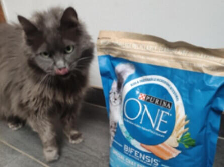 Purina One