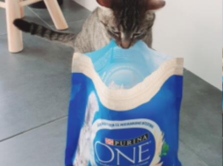 Purina One