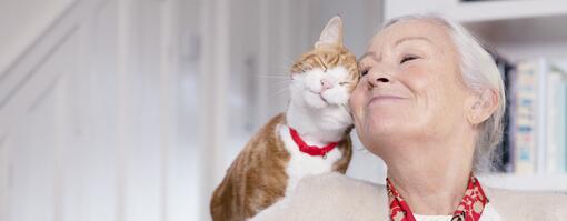 Animaux de compagnie : alliés bien-être des seniors au quotidien