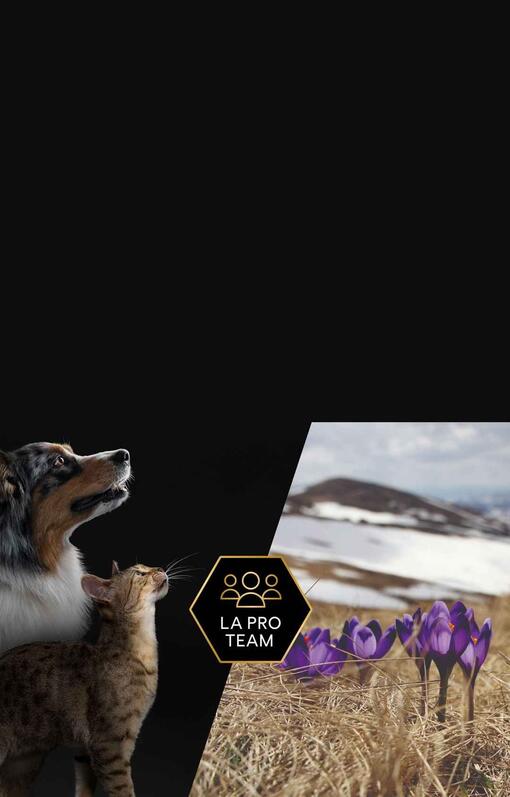 pro plan supplements