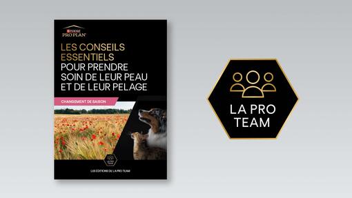 Téléchargez le guide de la Pro Team