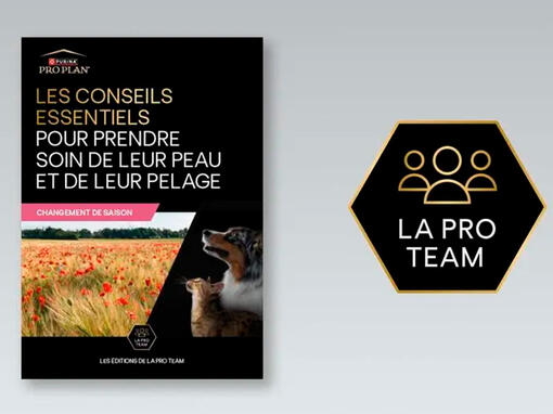 Téléchargez le guide de la Pro Team
