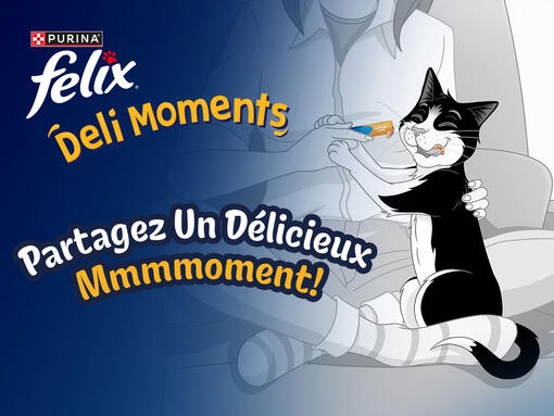 Friandises pour chat pour Deli MomentsTM Felix®