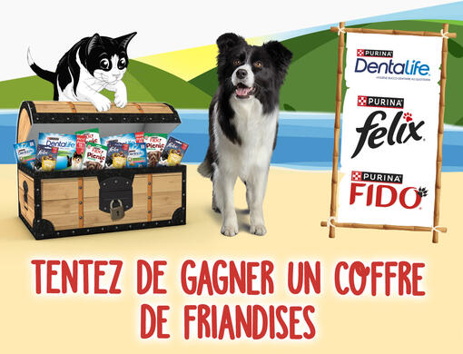 Tentez de gagner un coffre rempli de friandises PURINA®.