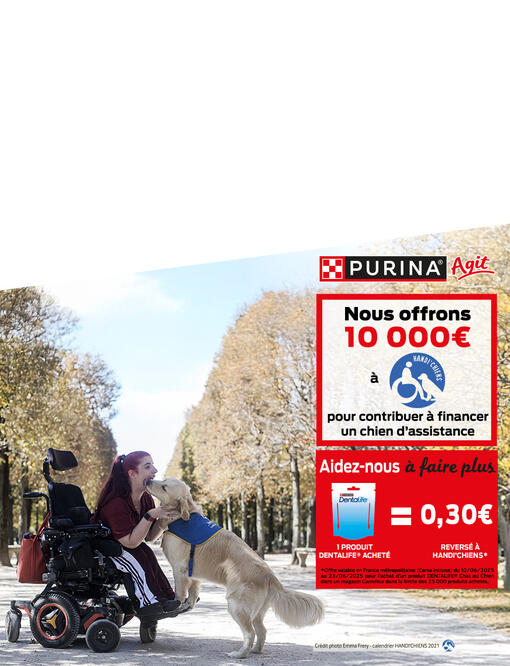 AGISSEZ AVEC NOUS POUR HANDI’CHIENS ! mob
