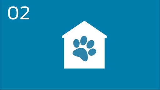 Adoptation