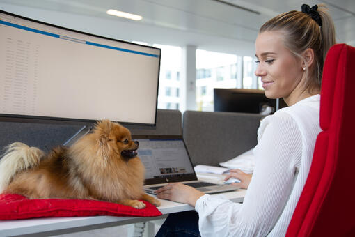 Pets at Work - Justine