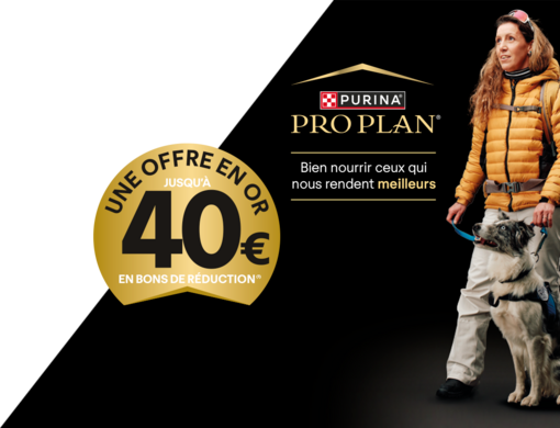 Pro Plan