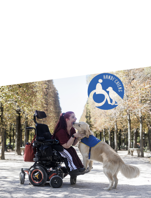 QUAND UN CHIEN CHANGE TOUTE UNE VIE