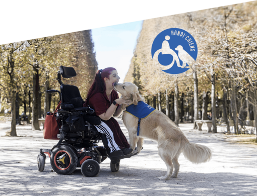 Quand un chien toute une vie